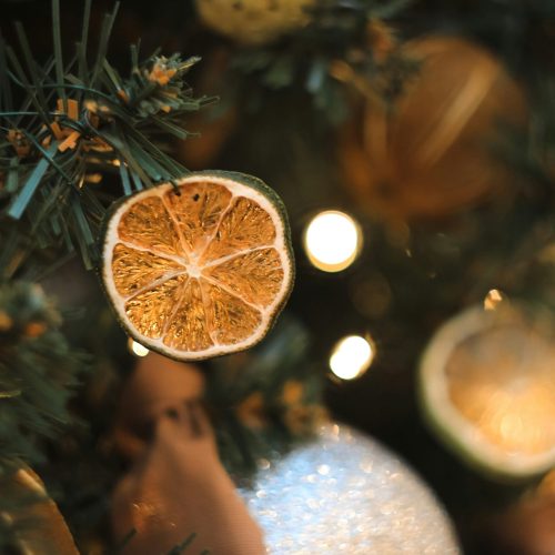 How to make Dehydrated Oranges (and other Citrus!) for Christmas Decorations